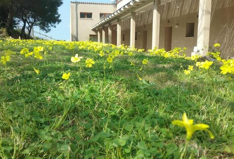 צימר Alelca Domo