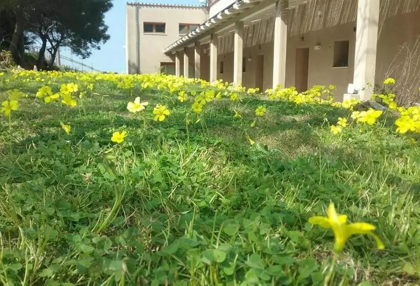 ベッドアンドブレックファースト Alelca Domo