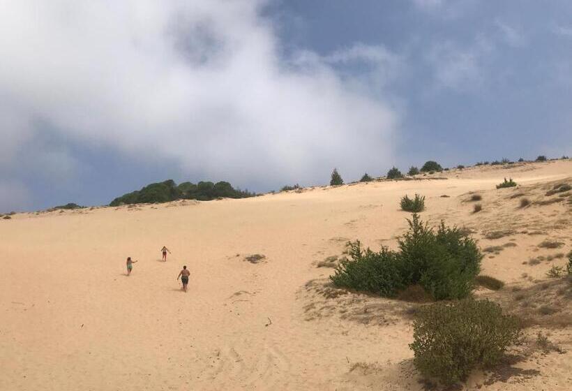 צימר Alelca Domo