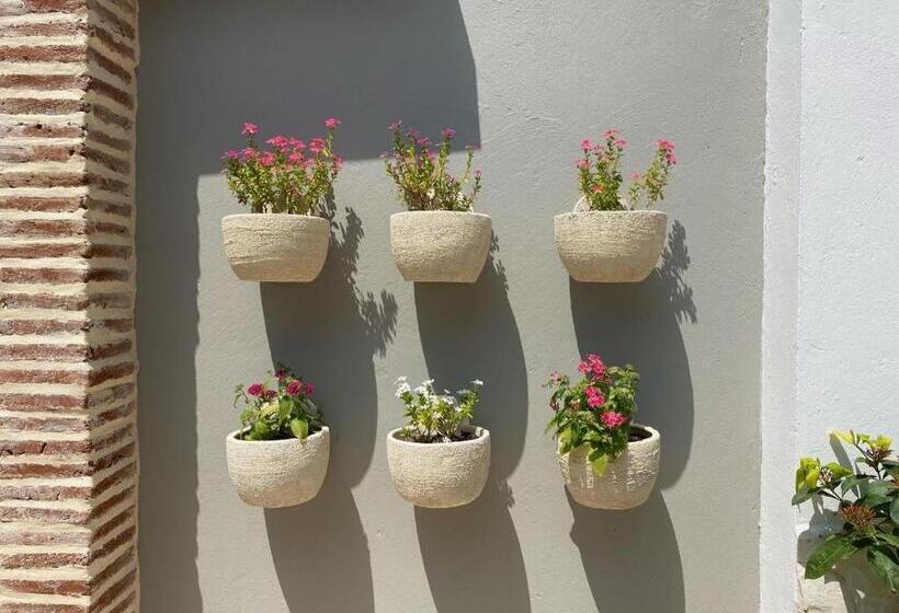 Casa Bixa Hotel Boutique   Solo Adultos