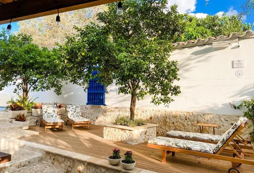 Casa Bixa Hotel Boutique   Solo Adultos