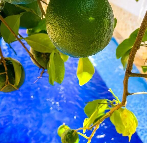 Casa Bixa Hotel Boutique   Solo Adultos