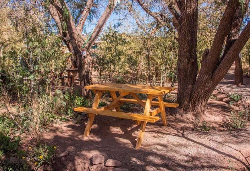 פנסיון Casa Voyage Hostel