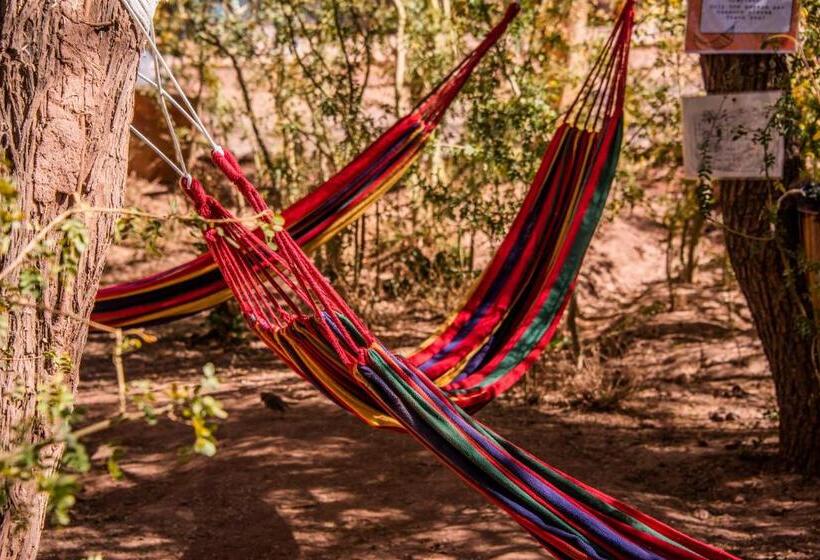 פנסיון Casa Voyage Hostel