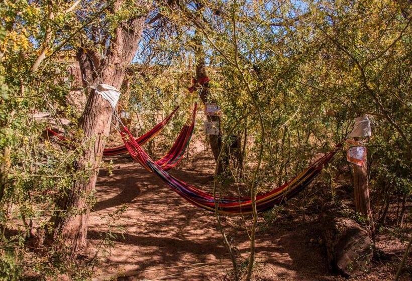 פנסיון Casa Voyage Hostel