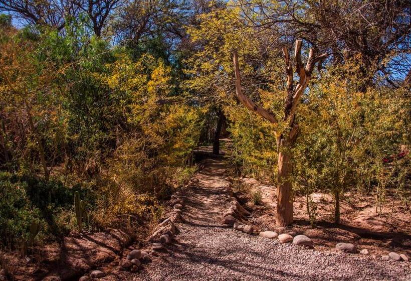 פנסיון Casa Voyage Hostel