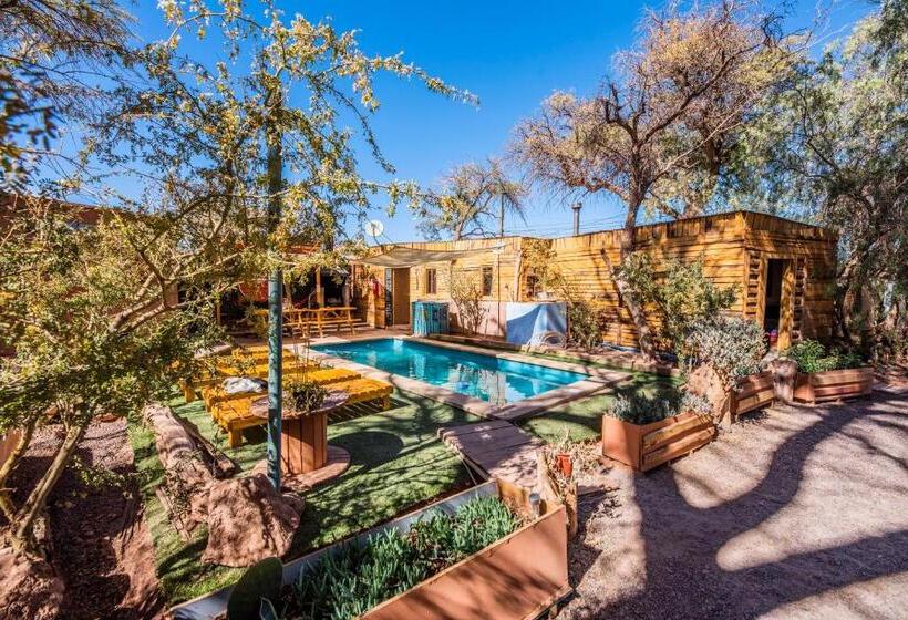 פנסיון Casa Voyage Hostel