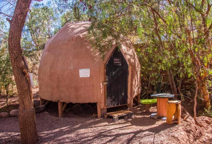 פנסיון Casa Voyage Hostel