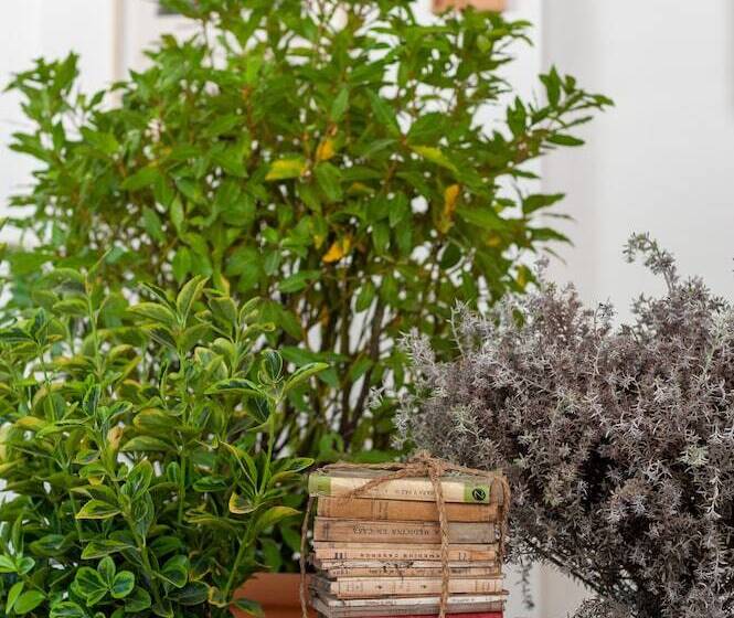 Pensão Hostal Sa Teula