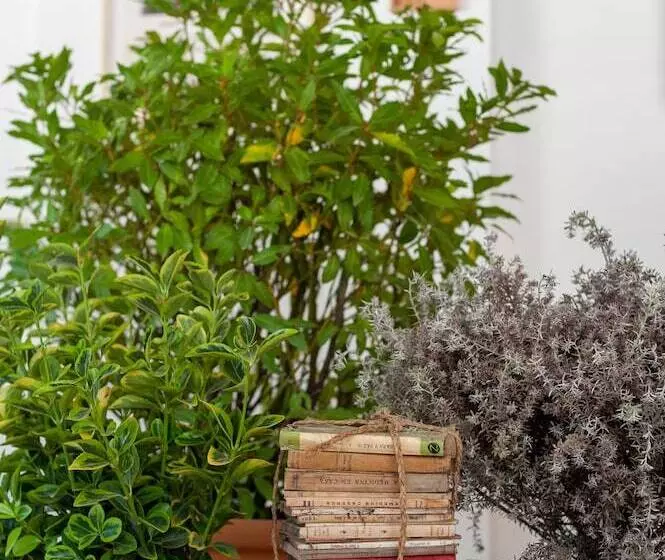 Pension Hostal Sa Teula