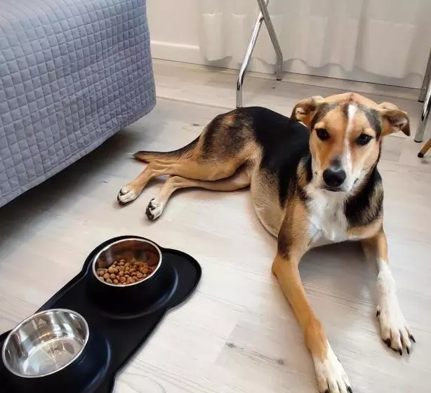 Szálloda Everest Arco