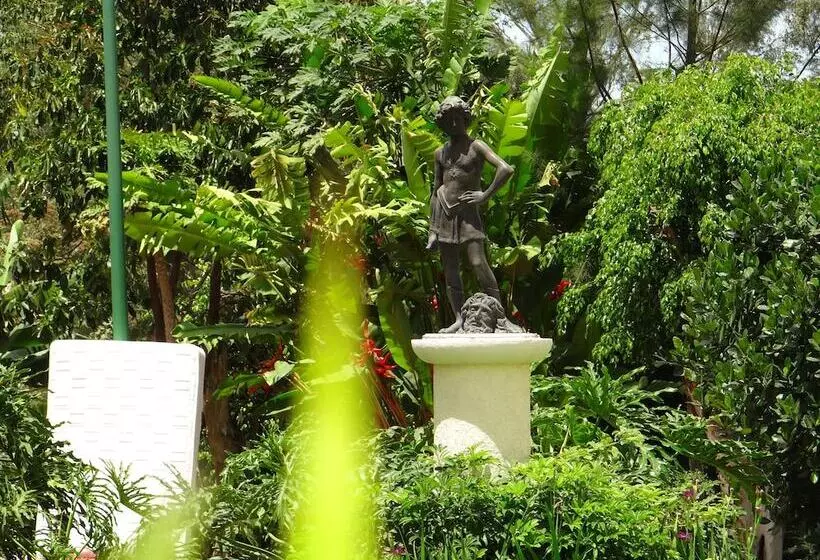 Hôtel Las Palomas Tepic Express