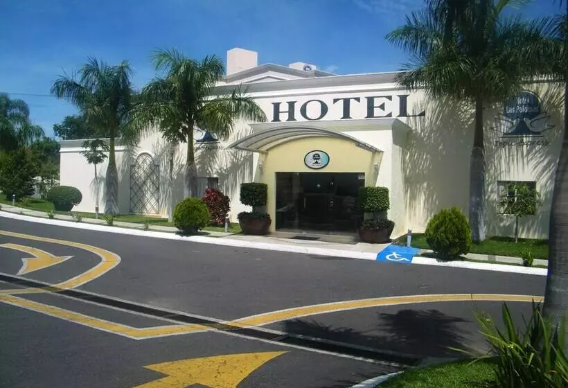 Hôtel Las Palomas Tepic Express