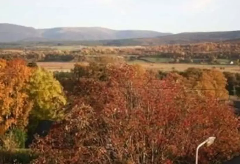 Hotelli Sonnhalde Guest House
