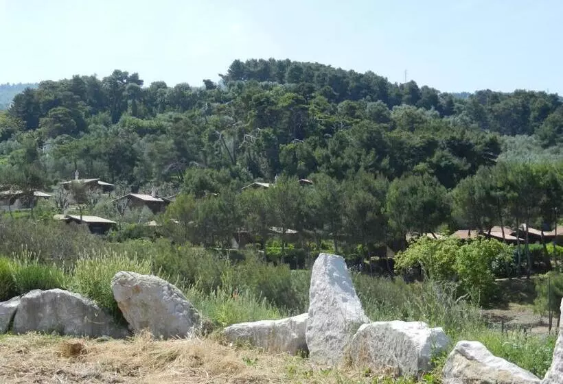 هتل Tenuta Molino Di Mare