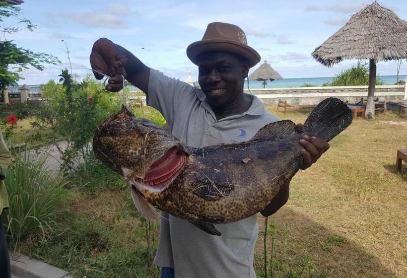 فندق White Sands