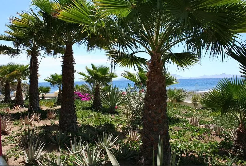 Santantao Art Resort