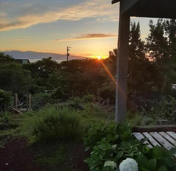 هاستل Adega Do Gato