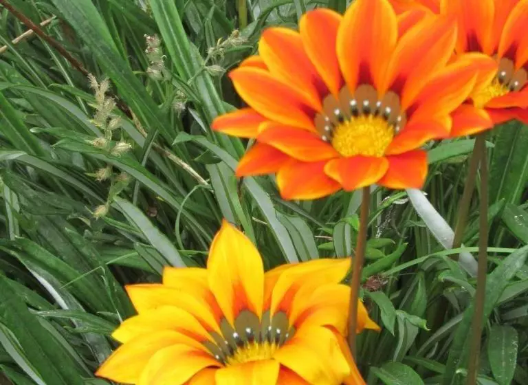 ユースホステル Adega Do Gato