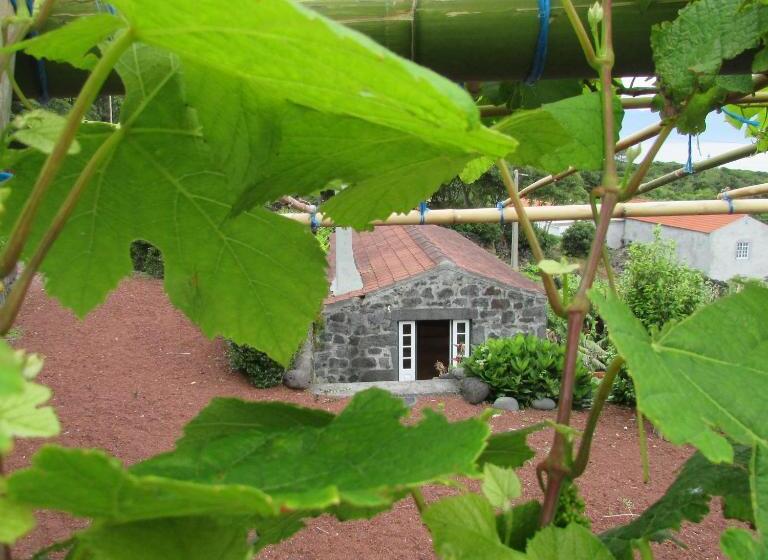 هاستل Adega Do Gato