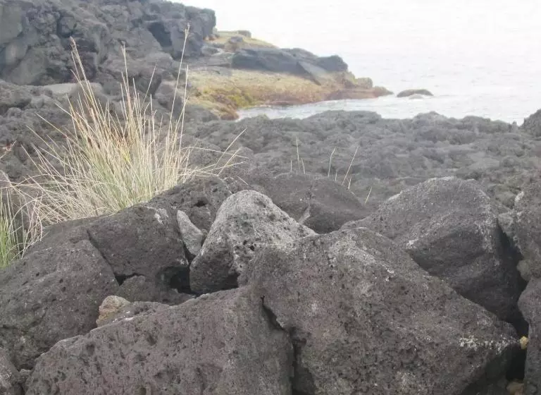 ユースホステル Adega Do Gato