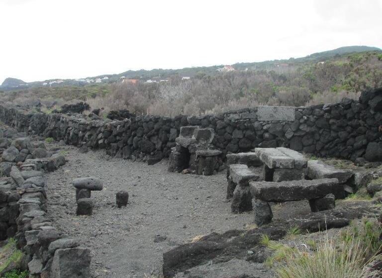 هاستل Adega Do Gato