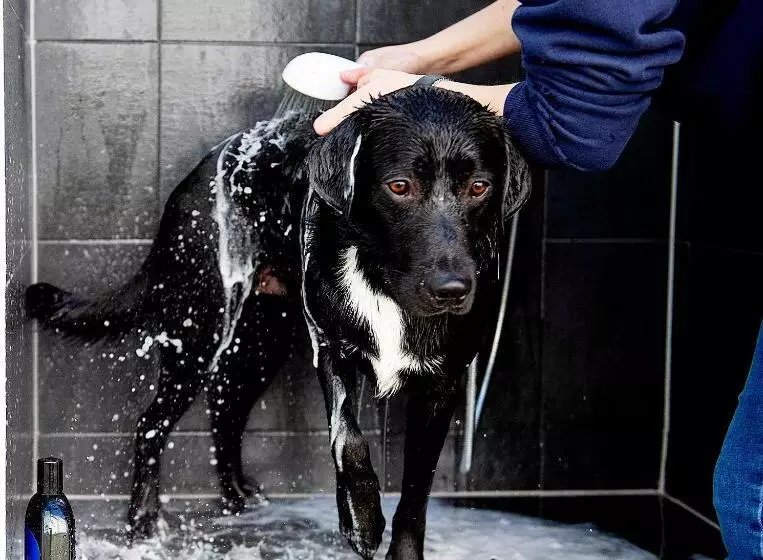 Hotelli The Salt Lodge