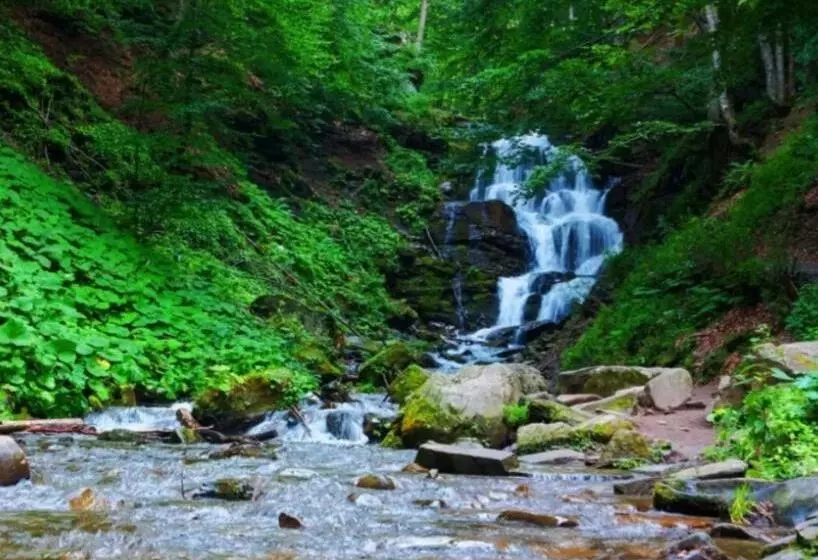 Majatalo у мирослави