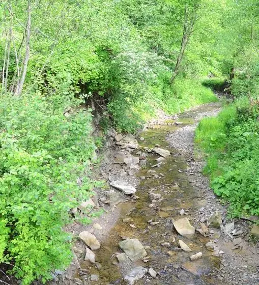 Majatalo Gostynnyi Dvir U Marichky