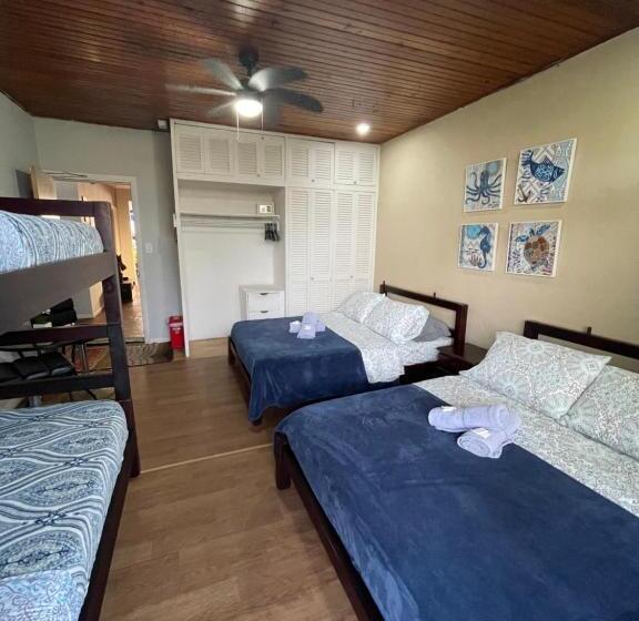 膳宿费 Sarah S Place San Andres