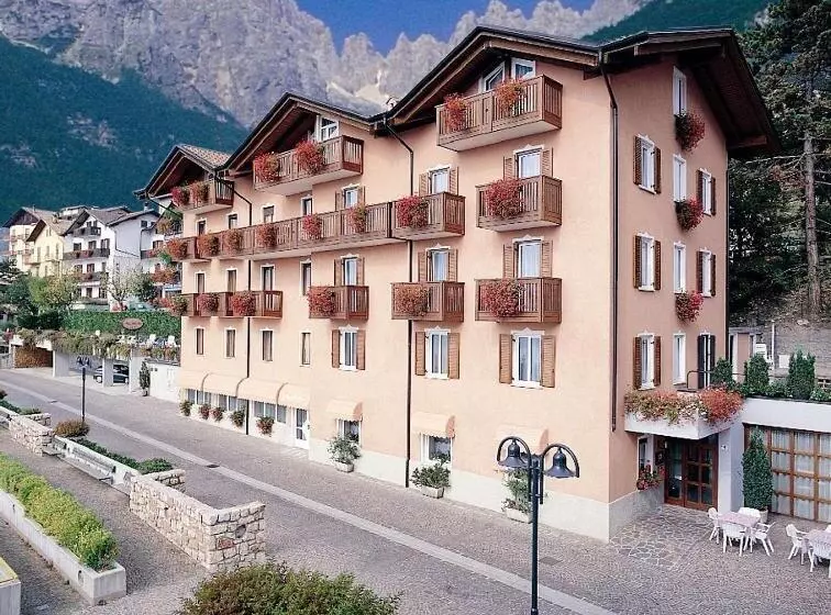 ホテル Albergo Stella Alpina