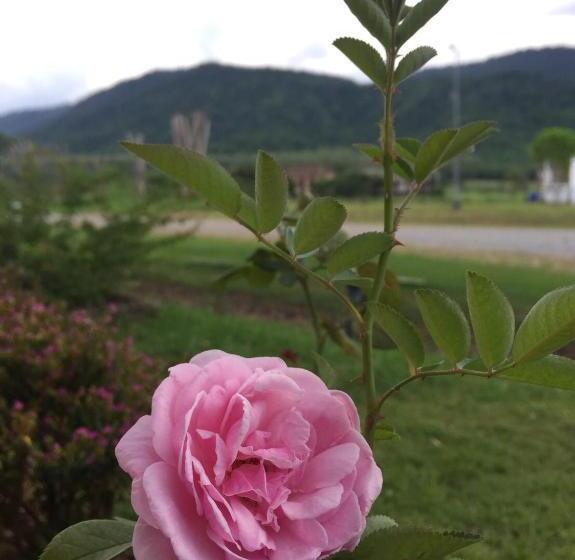 호텔 Samerdrow Khao Yai