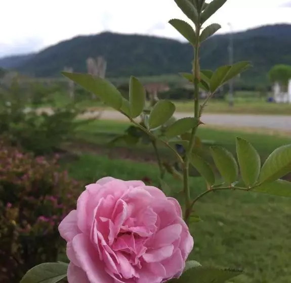 Hotelli Samerdrow Khao Yai