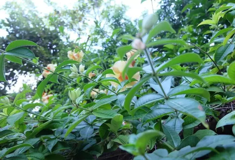 Hotelli Samerdrow Khao Yai