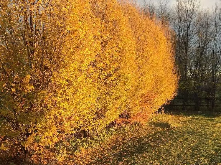 Отель Marco Polo