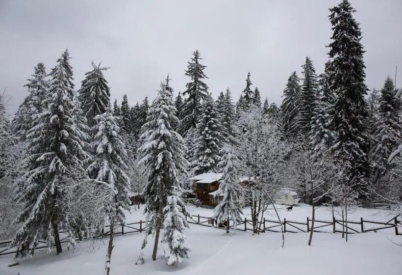 Victoria Hotel Borovets   Free Parking