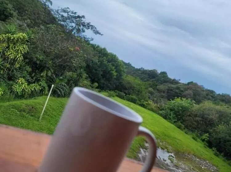 Cabinas Selva Verde