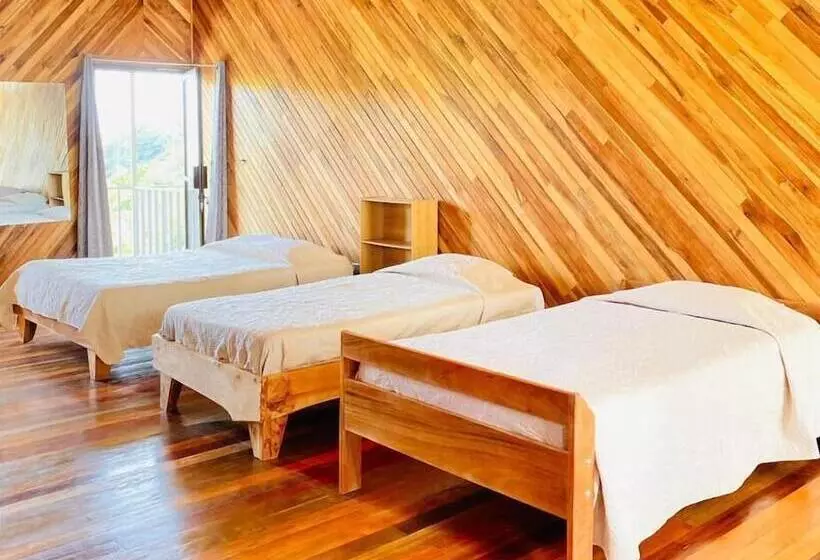 Cabinas Selva Verde
