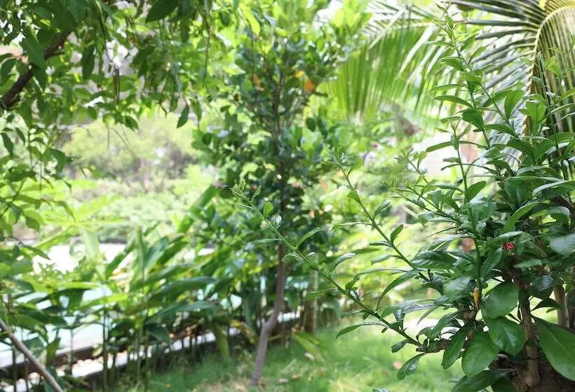 هتل Hoan My Resort Ninh Chu