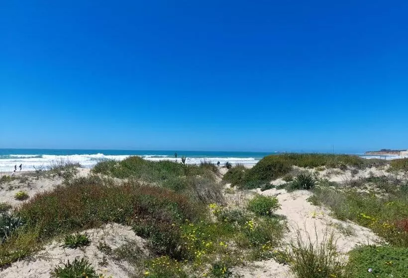 Aparthotel Novo Sancti Petri