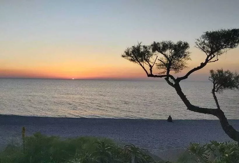 בית מלון כפרי Capo Nettuno