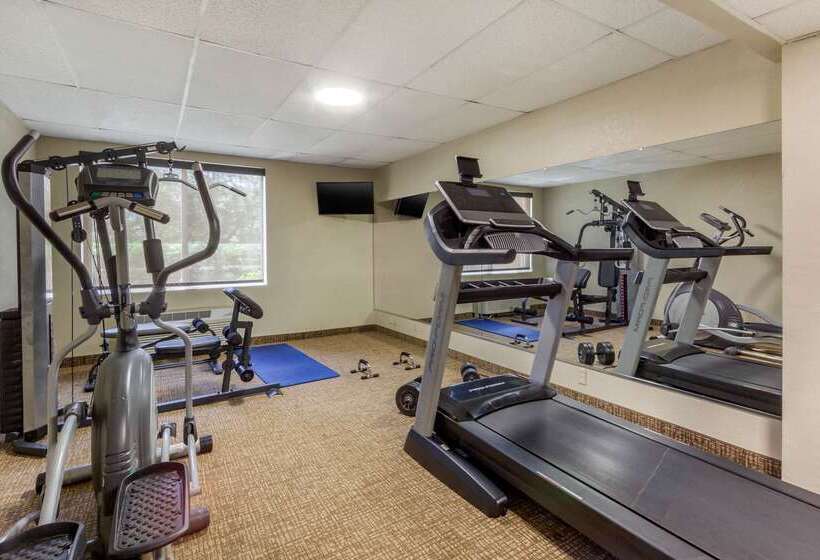 호텔 Comfort Inn St Petersburg North