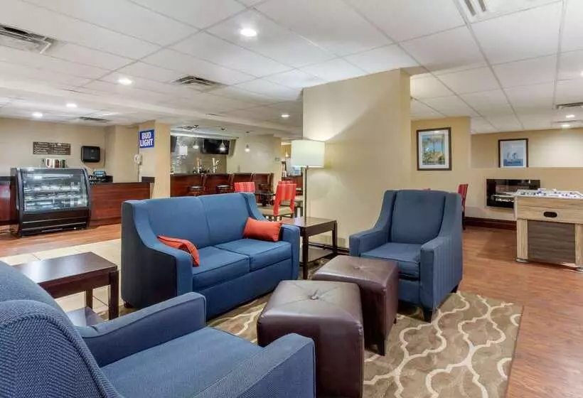 酒店 Comfort Inn St Petersburg North