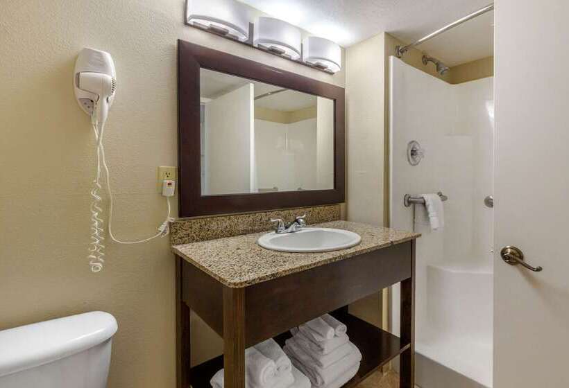 호텔 Comfort Inn St Petersburg North