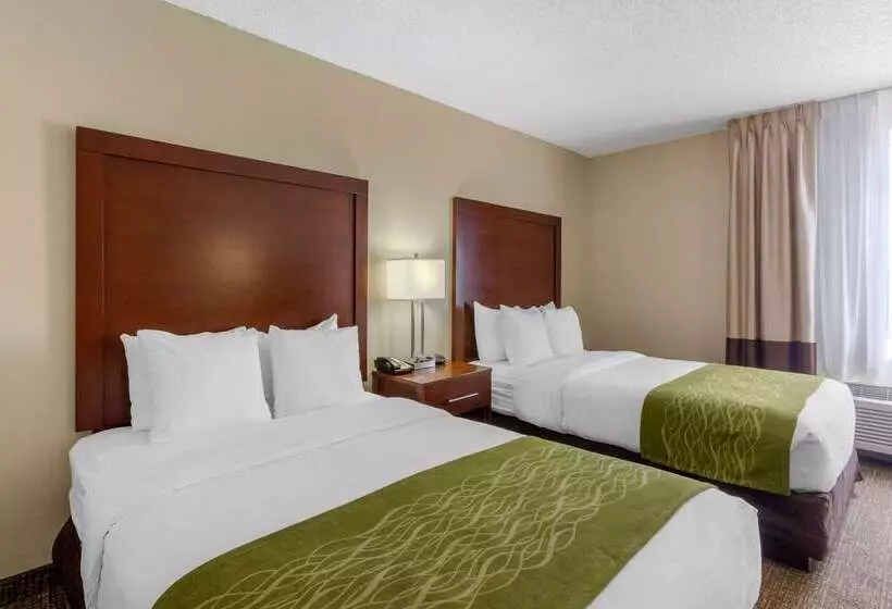 酒店 Comfort Inn St Petersburg North