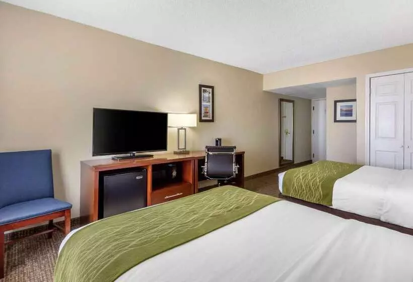 酒店 Comfort Inn St Petersburg North