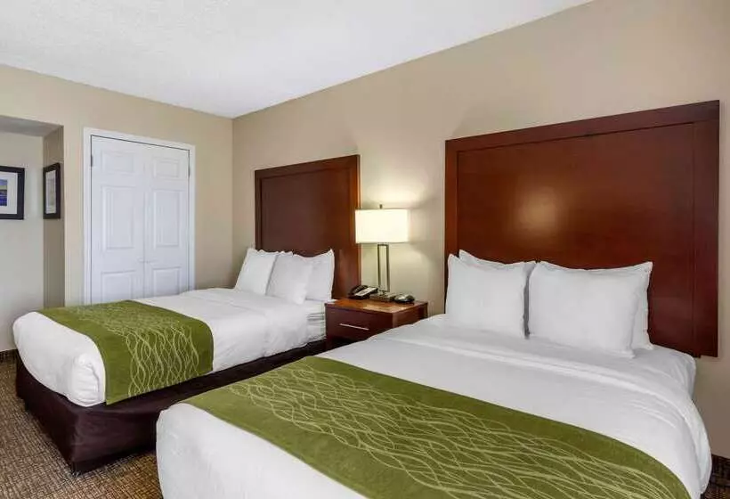 酒店 Comfort Inn St Petersburg North