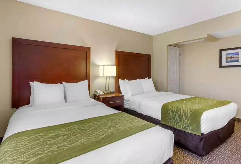 酒店 Comfort Inn St Petersburg North