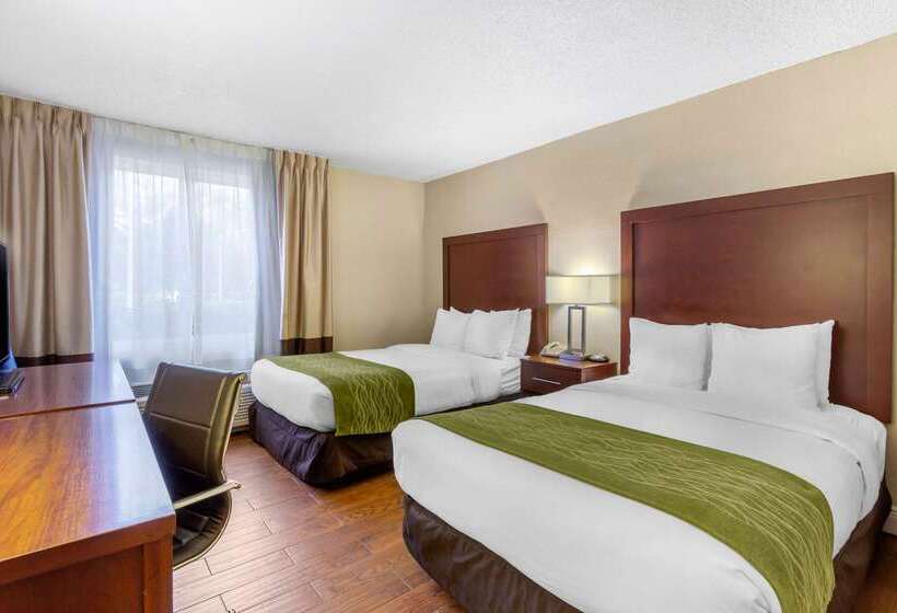 호텔 Comfort Inn St Petersburg North