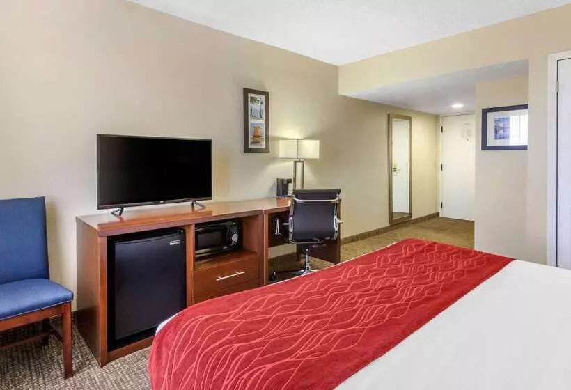 酒店 Comfort Inn St Petersburg North